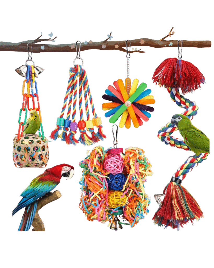 Foraging Toys for Budgies