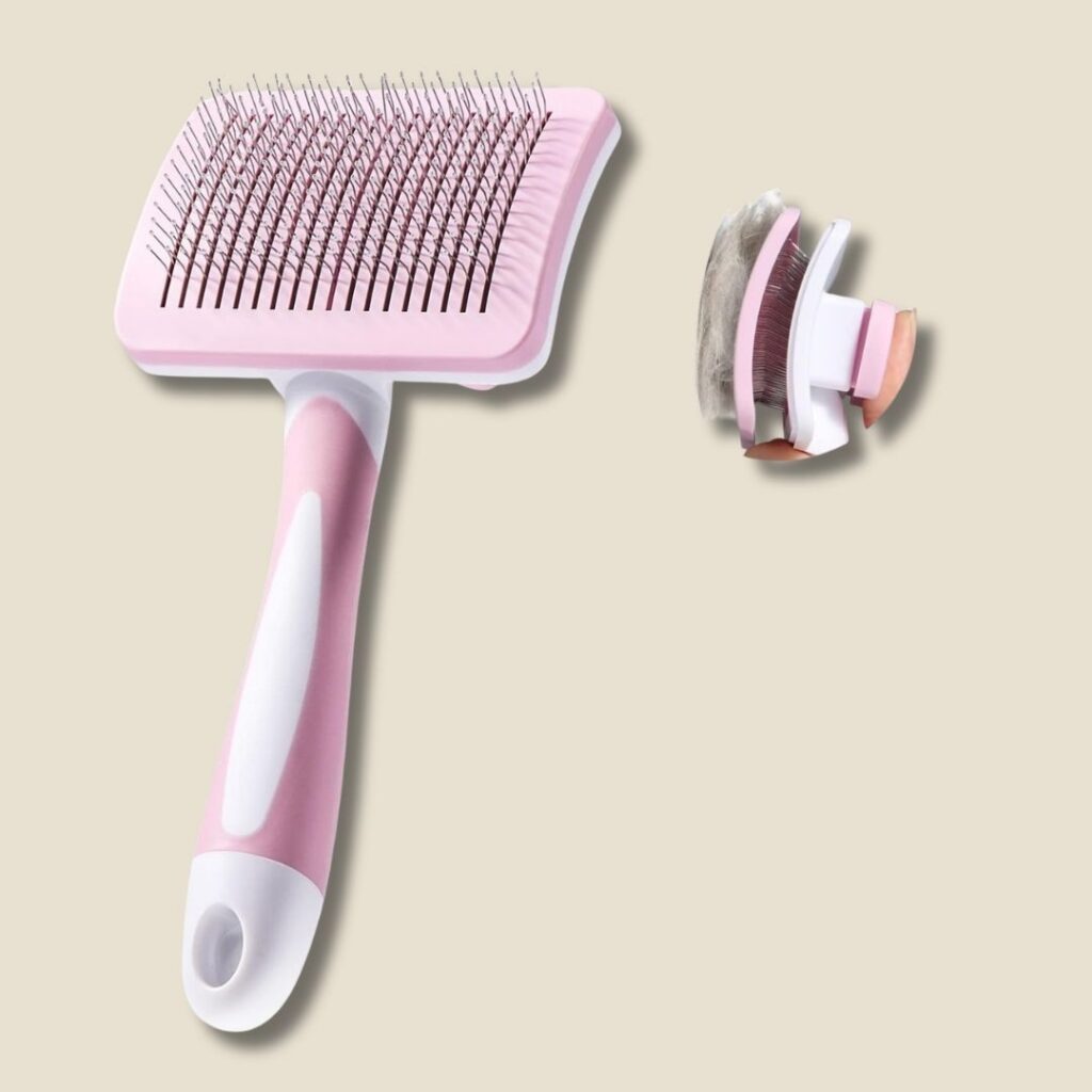 cat grooming brush daily