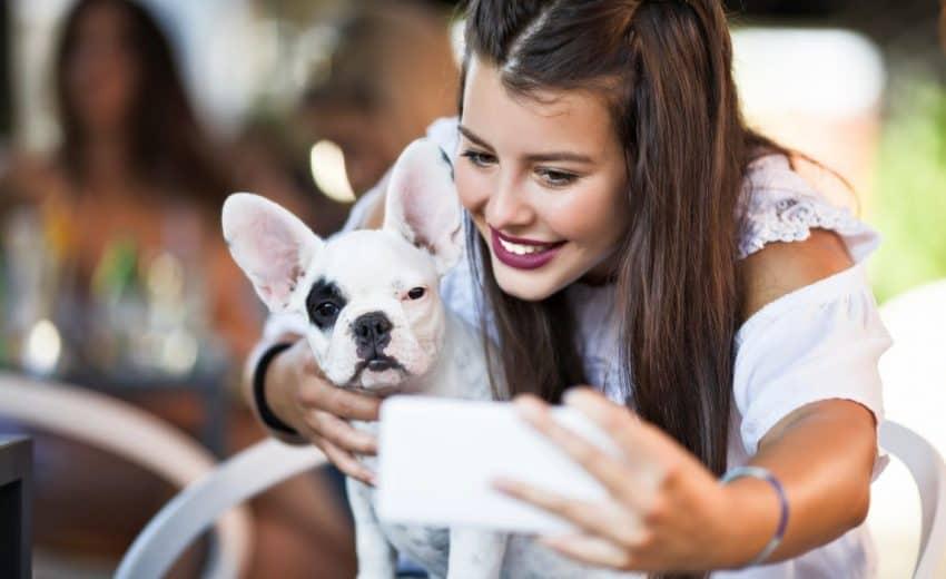 Funny dog stories