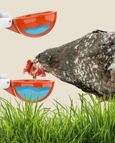  Large Automatic Chicken Waterer Cups