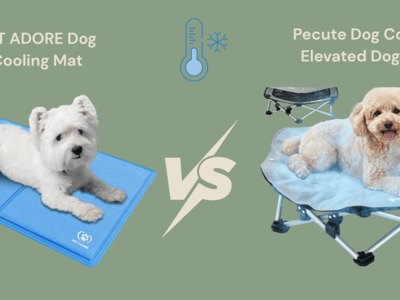 Best Cooling Dog Beds for the UK Summer 2026: Compare the Top Picks