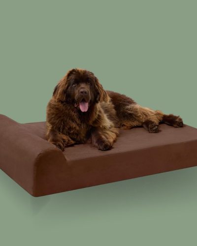 Pillow Top Orthopedic Dog Bed for Large Dogs