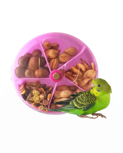 Bird Foraging Toy Seed Food Ball Rotate Wheel for Parrot Budgie Parakeet Cockatiel Conure African Grey Cockatoo Macaw Amazon Lovebird Finch Canary Cage Feeder