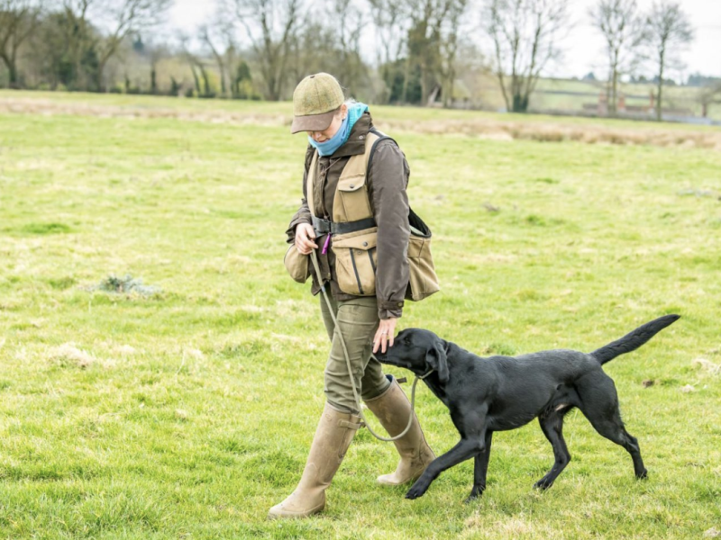 Understanding Pet Insurance: Is It Worth It for Your Dog?