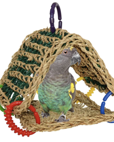 Super Bird Creations SB881 Seagrass Tent, Small/Medium Bird Size, 8” x 7” x 8”