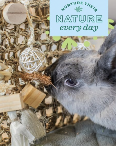 Oxbow Enriched Life Play Wall Small – Rabbit Toys, Guinea Pig Toys, Hamster, Rabbit, Chinchilla, Rat, Chinchilla Cage Accessories, Guinea Pig Accessories for Cage