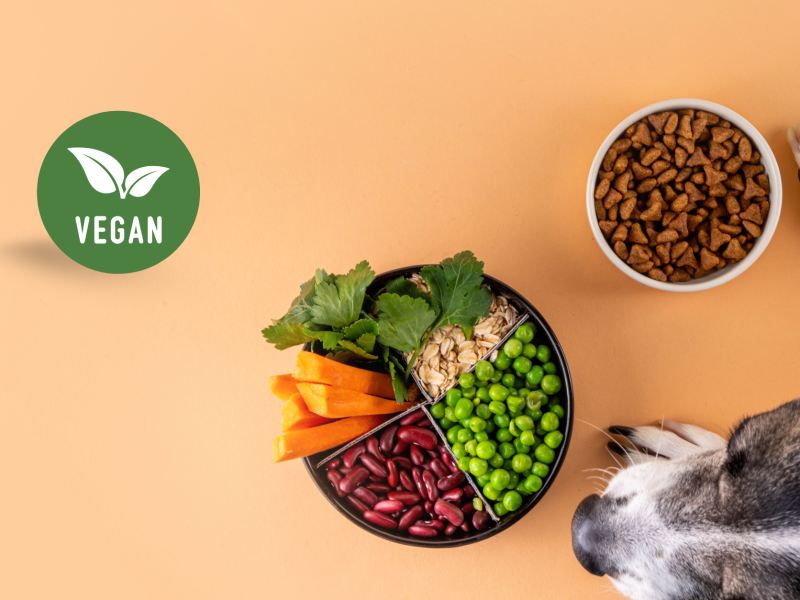 Best Vegan Food For Dogs