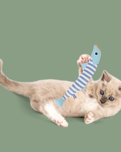 Catnip-Infused Fish Toy for Cats UK